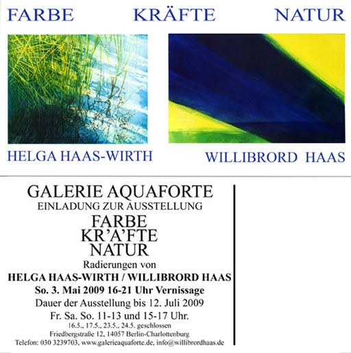 Willibrord Haas im Kunstverein Salzgitter